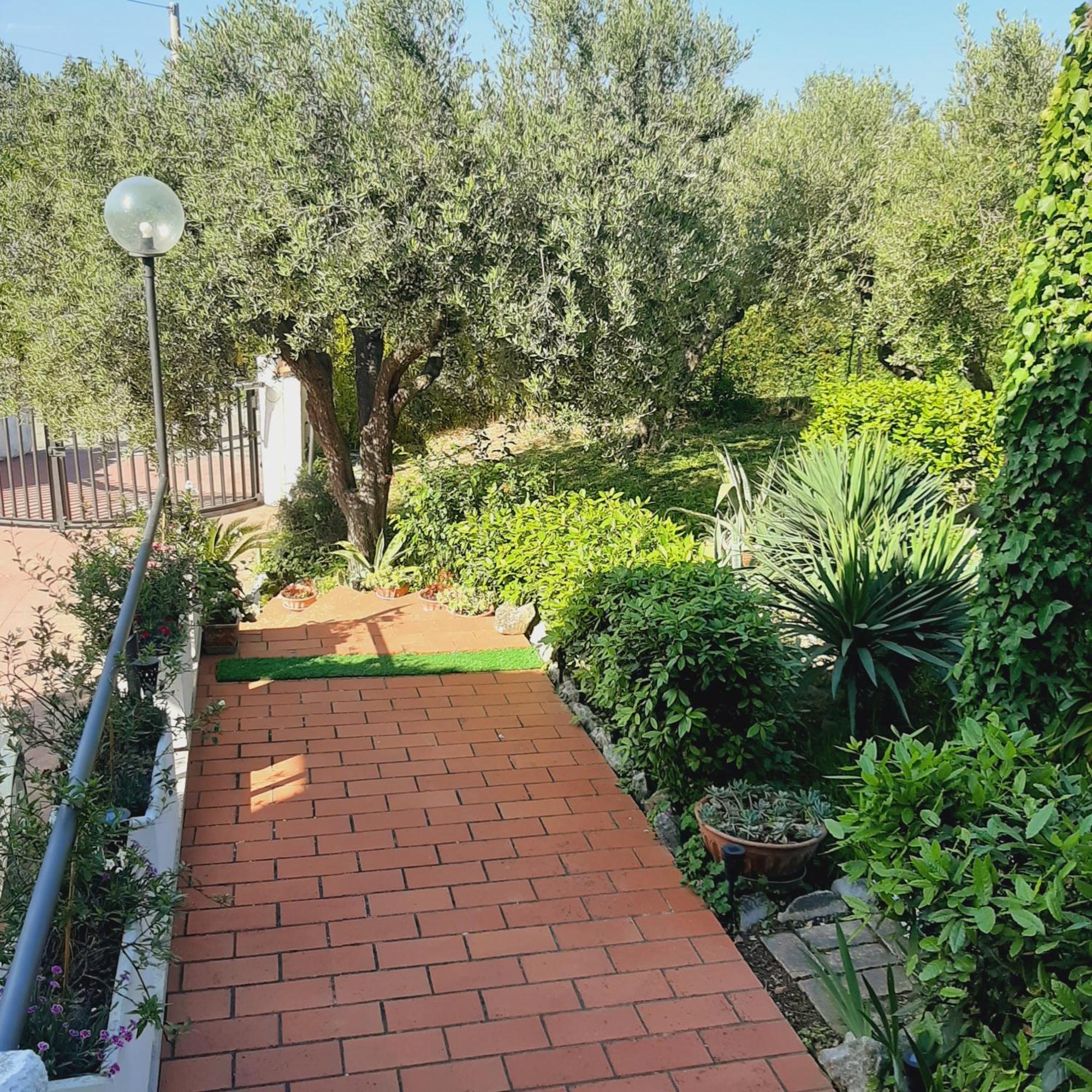 Villa In Collina Vista Mare Roseto Degli Abruzzi Exterior foto