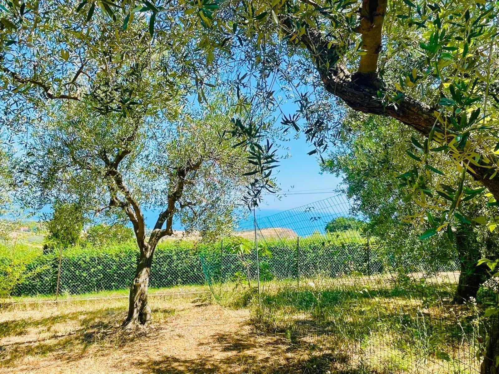 Villa In Collina Vista Mare Roseto Degli Abruzzi Exterior foto